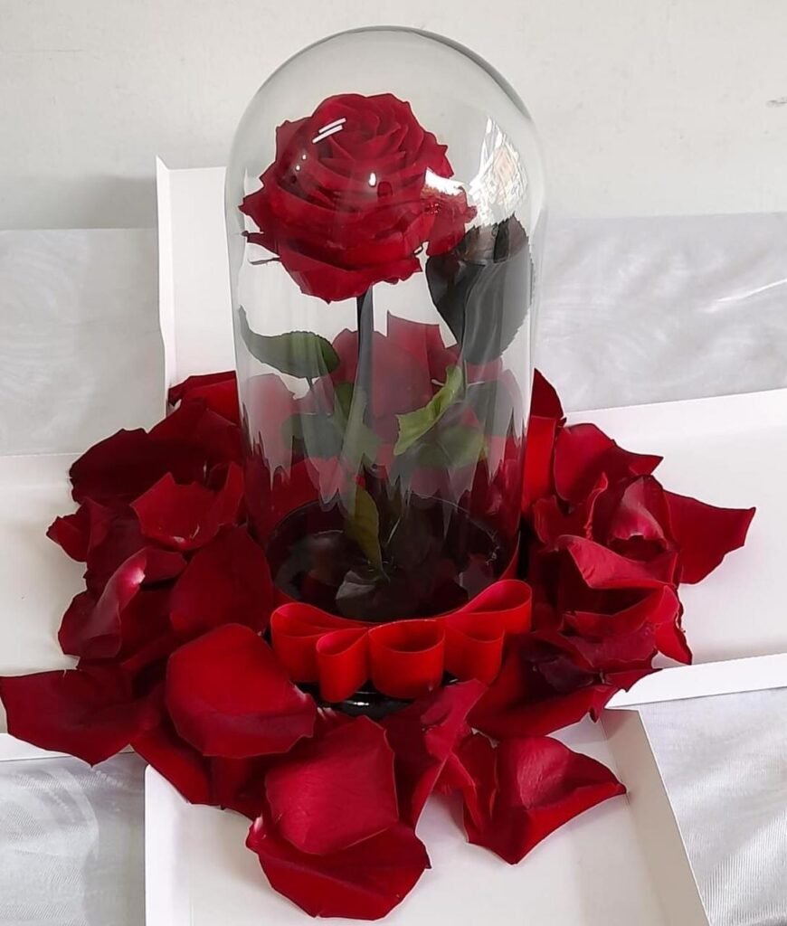Aprende el significado de la Rosa eterna o preservada y sus cuidados -  Floristería Las Flores del Huila