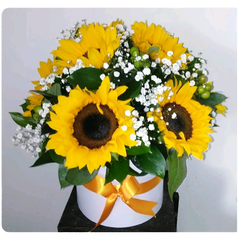 Caja redonda con girasoles, imperico verde y gipso - Floristería Las Flores  del Huila